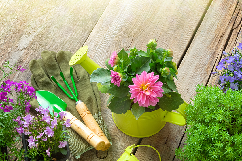 How Memory Care In Cavetown, MD Makes Gardening Safe For Dementia Patients Seaton Senior Living
