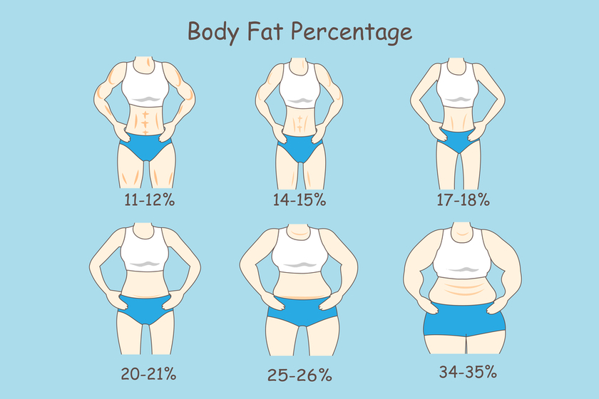 What is a healthy body fat percentage?